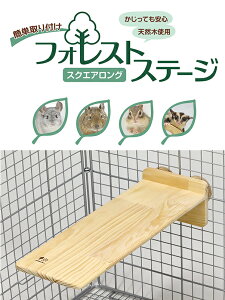 ``EEeO[EKEV}Xg̗ǂAЖʐݒũXe[WBtHXgXe[W XNGAO[OW]