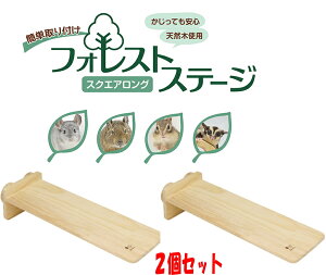 2�Z�b�g�I�`���`���E�������E�e�O�[�E�������K�E�V�}���X�������O�^�C�v�̃X�e�[�W�B�t�H���X�g�X�e�[�W �X�N�G�A�����O×2�Z�b�g[�O�W����]