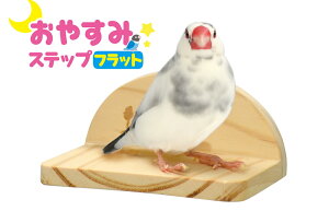 ^CRA^CRtC`̃tbg^Cv̏pƂ܂؁I₷݃Xebvtbg[OW]