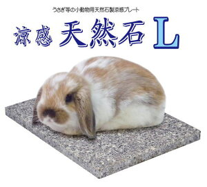 ɋCXy[XIEbgE``pЂVR΁iLTCYj[OW]