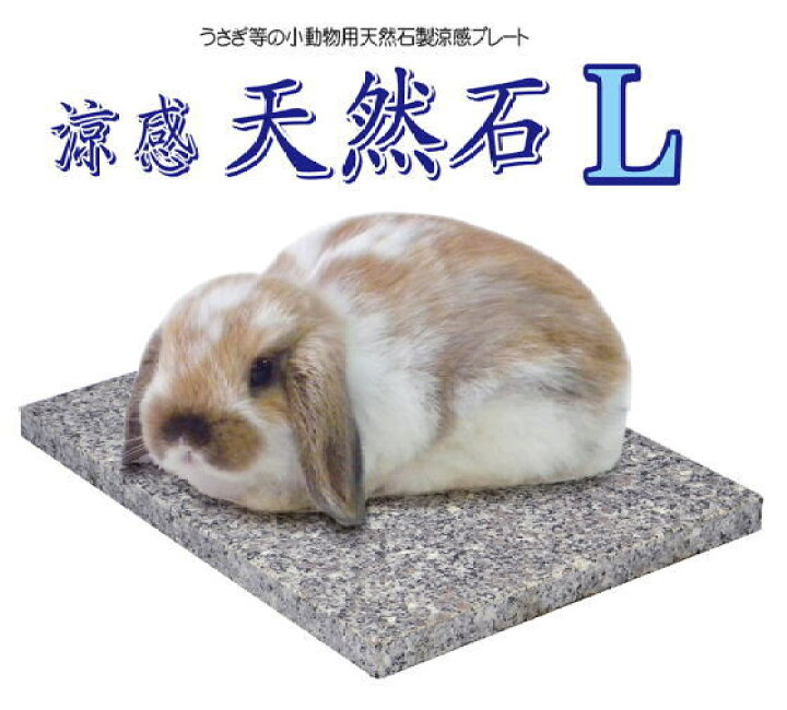 楽天市場 三晃商会 うさぎ モルモット チンチラ用ひんやり涼感天然石 L E ペット屋さん