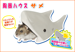 Ȃ\ł|ȒPInX^[pnEX@T[OW]