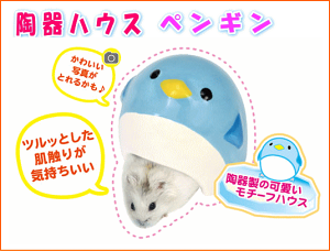 ƂG肪CAnX^[p퐻nEXBʐ^Ƃ邩InEX yM[OW]