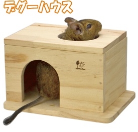 デグー・モモンガ・シマリス用木製ハウス　デグーハウス　三晃商会H28(4976285172809)