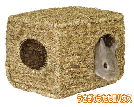 うさぎ チンチラ モルモットに最適！ うさぎのうたた寝ハウス　マルカン　4906456518389