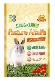 ウサギ モルモット チンチラなどの草食小動物の主食 ハイペット パスチャーアルファルファ400g