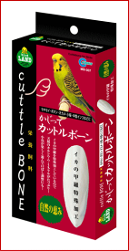 楽天市場 インコ イカの通販 楽天市場 インコ イカの通販