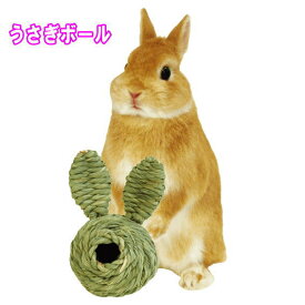 かじって！食べて！ねころがって！わらっこ倶楽部　うさぎボール[KAWAI 川井]