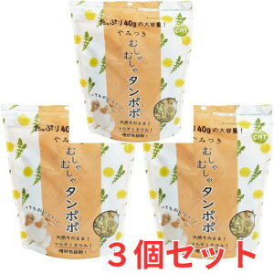 3�Z�b�g�������E�`���`���E�f�O�[�E�������b�g�̑�D�� �ނ���ނ���^���|�|40g×3��[KAWAI ���]