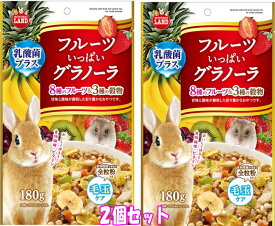 ★お得な2個セット★うさぎ・モルモット・ハムスターなどの小動物用おやつ！フルーツいっぱいグラノーラ 180g×2個セット[マルカン]