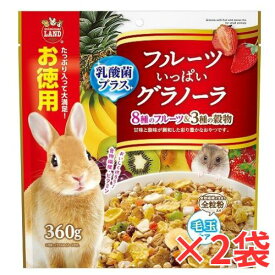 2個セット　うさぎ・モルモット・ハムスターなどの小動物用おやつ！フルーツいっぱいグラノーラお徳用 360g×2個セット[マルカン]