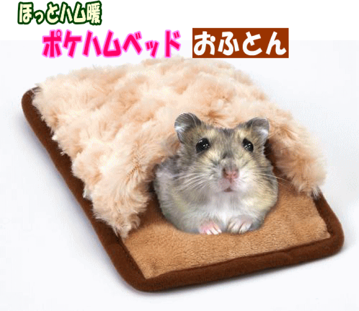 マヌケ・ハム！！！！はむはむ！マヌケマヌケのおマヌケハムスター‎ マヌケ・ハム！！！！はむはむ！マヌケマヌケのおマヌケハムスター