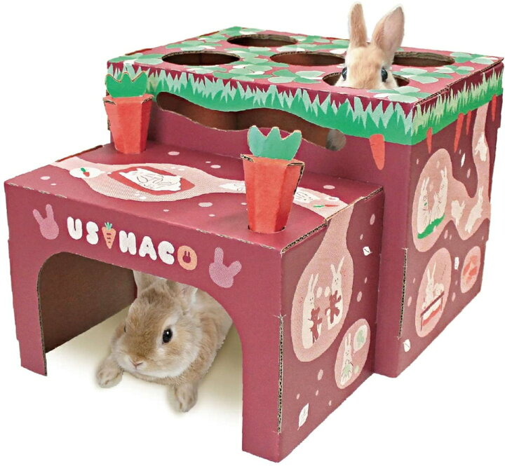 楽天市場 Minianiman ペーパークラフト 組立式 のうさぎのおもちゃ ウサハコ にんじん畑 E ペット屋さん
