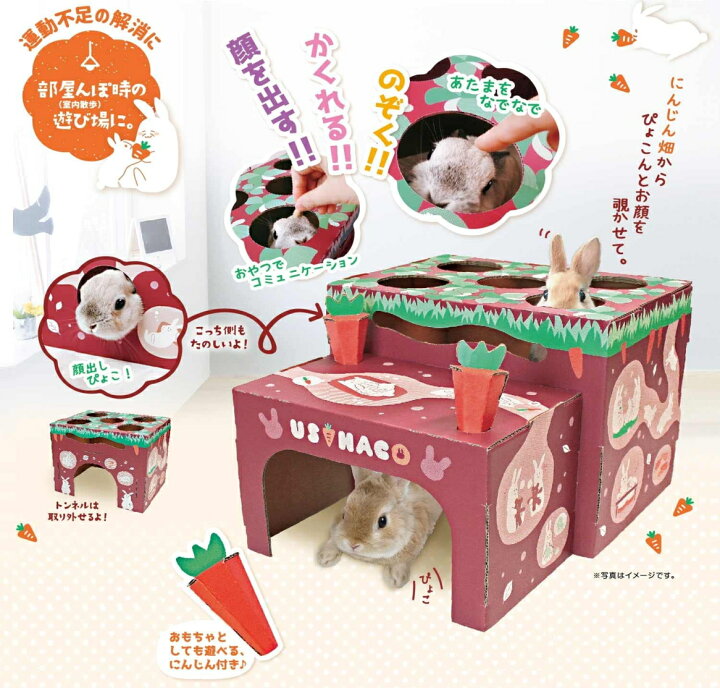 楽天市場 Minianiman ペーパークラフト 組立式 のうさぎのおもちゃ ウサハコ にんじん畑 E ペット屋さん