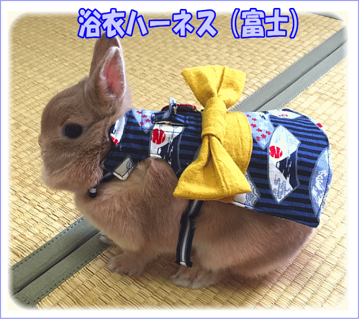 楽天市場 もちつき うさぎ用ハーネス 浴衣ハーネス 富士 E ペット屋さん