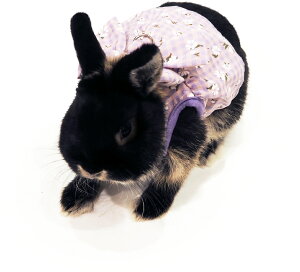 ̃n[lXEGA n[lXEGAE`FbNhXEx_[i[h͕tĂ܂BjC{[