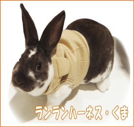 楽天市場 うさぎ ハーネス Sサイズの通販
