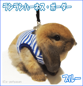 楽天市場 うさぎ ハーネス Sサイズの通販 楽天市場 うさぎ ハーネス Sサイズの通販