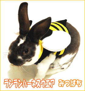 ̃n[lXEGA n[lXEGAE݂΂i[h͕tĂ܂BjC{[