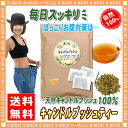 【お徳用TB送料無料】 キャンドルブッシュ (2g×80p入) 食物繊維が豊富◆ゴールデンキャンドル ハネセンナ 森のこかげ 健やかハウス