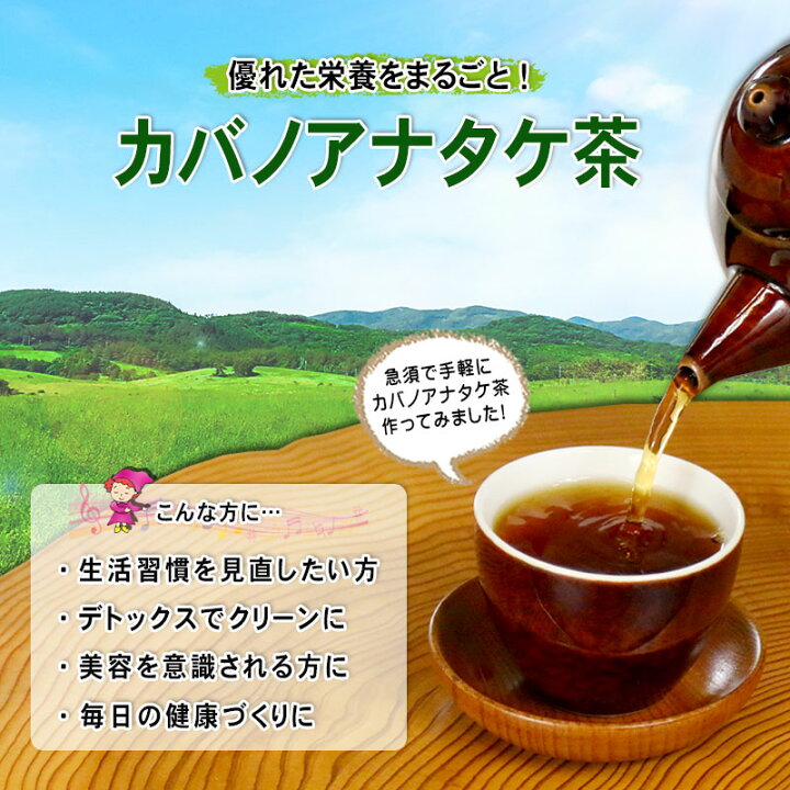 楽天市場】5【森のこかげ】 カバノアナタケ茶 (100g) かばのあなたけ 
