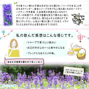 楽天市場 3 お徳用tb送料無料 ラベンダーティー 1 5g 60p ティーバッグ 業務用 華やかな香り 高い人気を誇る シングル ハーブティー ティーパック らべんだー 森のこかげ 健やかハウス ハーブtb E Picot いーぴこっと楽天市場店