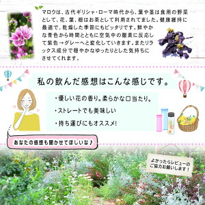 楽天市場 3 お徳用tb送料無料 マローブルーティー 1g 50p ティーバッグ 見た目で楽しめる マロウブルー ハーブティー ウスベニアオイ ブルーマロー ティーパック 業務用森のこかげ 健やかハウス ハーブtb E Picot いーぴこっと楽天市場店