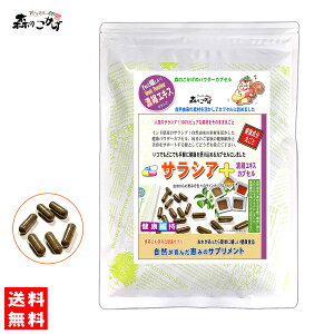S1yX̂zTVA ZkGLX JvZ(320mg×120) GLXpE_[  H  ^sIJfLXgܗL  炵 [R^q] (c_򌟍ς) kC  