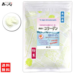 QyX̂z R[Q () (100g) tBbV R[Q pE_[ } Cm }[Ch 낱 [ ς[  (c_򌟍ς) kC  z X