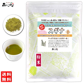 B【送料無料】 スギナ (粉末) パウダー [120g] すぎな ふんまつ 杉菜 粉末茶 パウダーティー 健康茶 (残留農薬検査済み) 北海道 沖縄 離島も無料配送可 森のこかげ 健やかハウス 少粉末