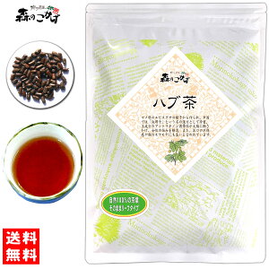 5yX̂znu (600g) t ͂Ԓ 100 ͂Ԃ nu q PcCV ߒ ߂ (c_򌟍ς) kC  z X̂ t