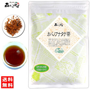 5【森のこかげ】 カバノアナタケ茶 (100g) かばのあなたけ 茶 ≪チャーガ≫ チャーガ茶 チャガ茶 樺孔茸 キノコ茶 (残留農薬検査済み) 北海道 沖縄 離島も無料配送可 森のこかげ 健リフ