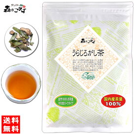 5【森のこかげ】国産 うらじろがし茶 (130g) 茶葉 徳島・愛媛県産 自然栽培品 ≪ ウラジロガシ茶 100％≫ 裏白樫茶 うらじろがし りゅうせきちゃ 流石茶 (残留農薬検査済み) 北海道 沖縄 離島も無料配送可 森のこかげ 健リフ