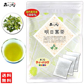 6【送料無料】国産 明日葉茶 (2g×20p) 東京・徳島県産 無農薬栽培 「ティーバッグ」≪アシタバ茶 100％≫ あしたばちゃ ティーパック (残留農薬検査済み) 北海道 沖縄 離島も無料配送可 森のこかげ 健やかハウス