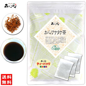 61【森のこかげ】 カバノアナタケ茶 （ロシア) 「ティーバッグ」(2g×50p) かばのあなたけ 茶 ≪チャーガ≫ チャーガ茶 チャガ 樺孔茸 ちゃが (残留農薬検査済み) 北海道 沖縄 離島も無料配送可 森のこかげ 健康TB 健少T