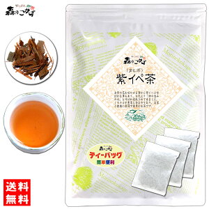 61yX̂z Cy (2g×50p) ueB[obOv ^q{  ނ炳 TLCy eB[pbN (c_򌟍ς) kC  z X̂ NTB T