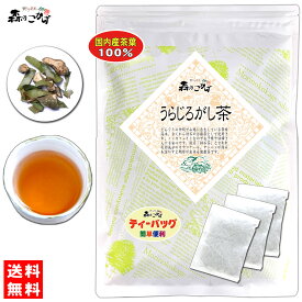 6【森のこかげ】 国産 うらじろがし茶 (3g×35p) 徳島・愛媛県産 自然栽培 「ティーバッグ」≪ウラジロガシ茶 100％≫ 裏白樫茶 うらじろがし 茶 流石茶 (残留農薬検査済み) 北海道 沖縄 離島も無料配送可 森のこかげ 健少T
