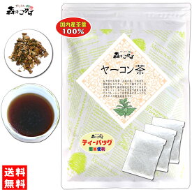 61【森のこかげ】 国産 ヤーコン茶 (2g×40p) 「ティーバッグ」 やーこんちゃ ティーパック (残留農薬検査済み) 北海道 沖縄 離島も無料配送可 森のこかげ 健康TB 健少T