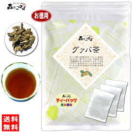 7【お徳用TB送料無料】 グァバ茶 (2g×100p) ティーパック ≪ ガバ茶 100％≫ グアバ シジュウム茶 グァバティー グヮバ グアヴァ ぐわば 健康茶 ティーバッグ (残留農薬検査済み) 北海道 沖縄 離島も無料配送可 森のこかげ 健やかハウス 健康TB 健徳T