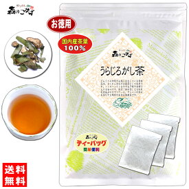 7【森のこかげ】国産 うらじろがし茶 (3g×70p) 徳島・愛媛県産 自然栽培 ティーパック ≪ウラジロガシ茶 100％≫ 裏白樫茶 りゅうせき 流石茶 (残留農薬検査済み) 北海道 沖縄 離島も無料配送可 森のこかげ 売れ筋 健徳T