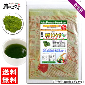 【訳あり期限2024.06】 国産 ホウレンソウ 粉末 業務用 ★(300g) 熊本・宮崎県産 やさい パウダー 100％ 野菜ジュースの素 ■ 国産 野菜 粉末 (ホウレン草) ほうれん草 パウダー (残留農薬検査済み) 北海道 沖縄 離島も無料配送可 森のこかげ 健やかハウス 粉