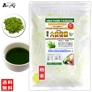AyX̂z Y 唞t  (100g) Y ₳ pE_[ 100 ؃W[X̑f  Y   (IIMJo) ނ킩  pE_[eB[X̂ ₩n