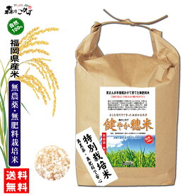 □【送料無料】 森のこかげ 2023 新米 健やか穂米 5kg 玄米 白米 福岡県産 無農薬 無肥料米 森のこかげ 健やかハウス 穂米