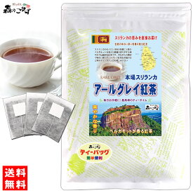 C5【森のこかげ】 アールグレイ 紅茶 [2g×50p] スリランカ産 セイロンティー 紅茶 (残留農薬検査済み) 北海道 沖縄 離島も無料配送可 森のこかげ 健徳T