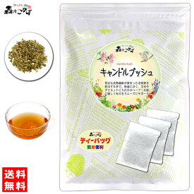 2【送料無料】 キャンドルブッシュ [2g×30p] 食物繊維が豊富 ゴールデンキャンドル ハネセンナ キャンドルブッシュティー きゃんどるぶっしゅ (残留農薬検査済み) 北海道 沖縄 離島も無料配送可 森のこかげ 健やかハウス ハ少T