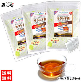 S【送料無料】 サラシア茶 (3g×100p)×3袋セット ティーパック ≪さらしあ茶≫ サラシア コタラヒム茶 インド産 健康茶 ティーバッグ (残留農薬検査済み) 北海道 沖縄 離島も無料配送可 森のこかげ 健やかハウス 売れ筋