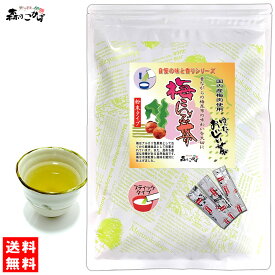 F【送料無料】 梅こんぶ茶 [2g×40p] 粉末 タイプ 梅昆布茶 個包装 うめこんぶちゃ (自慢の味と香りシリーズ) こんぶちゃ うめこぶ (残留農薬検査済み) 北海道 沖縄 離島も無料配送可 森のこかげ 健やかハウス 健徳T