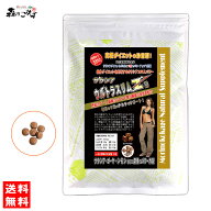 W【森のこかげ】 ダイエットサプリ ★ サラシア ウルトラスリムZ (250mg×180粒) サラシア サプリメント …