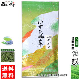 Y1【送料無料】 特選 かぶせ茶 (100g) 福岡県 ≪八女茶≫ 緑茶 やめちゃ とくせん かぶせちゃ 茶葉 森のこかげ 健やかハウス