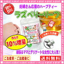 【送料無料】 ラズベリーリーフティー (TB1.5g×30p+3p)今だけ10%増量! 100％ 妊婦さん応援 安産 ハーブティーマタニティー 森のこかげ 健や... ランキングお取り寄せ